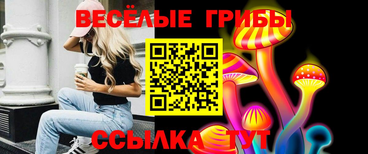 Псилоцибиновые грибы MAGIC MUSHROOMS  Вход с VPN  Заинск 